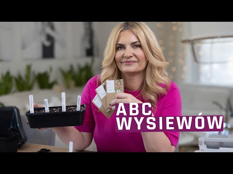 ABC wysiewów - jak siać kwiaty - ogród dla początkujących