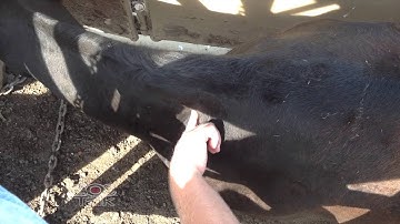 BQA Tips Injection Site Safety