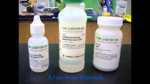 STEM Video 2013- Cell Size and Diffusion