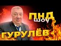 ПРОЖАРКА НАШИХ ДЕПУТАТОВ. ПНД-ШОУ #2   #гурулев #прожарка