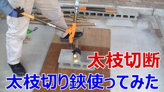 太枝切りばさみを使って太枝切断　どの位切れるか？