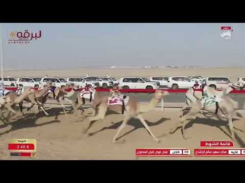 ش9 مبروكة ل سعيد علي عبيد بالرشيد الكتبي مهرجان ختامي الوثبة 15 03 2025 حقايق بكار 5 50 54
