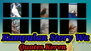 #storywa Quotes , Kumpulan Story Wa Merpati Keren🖒👍