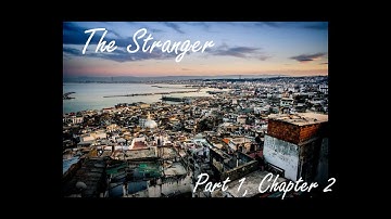 The Stranger Part 1, Chapter 2 Summary