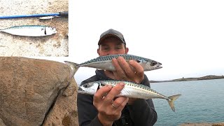 UK METAL LURE JIGGING FOR MACKEREL IN THE CHANNEL ISLANDS TIPS AND TACTICS
