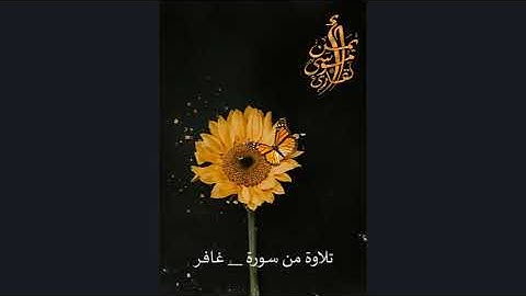 مَنْ عَمِلَ سَيِّئَةً فَلا يُجْزَى إِلا مِثْلَهَا-سورةغافر