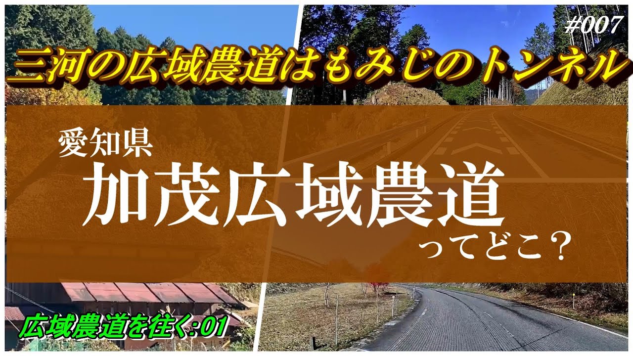 【三河の広域農道はもみじのトンネル】 愛知県 加茂広域農道ってどこ? YouTube