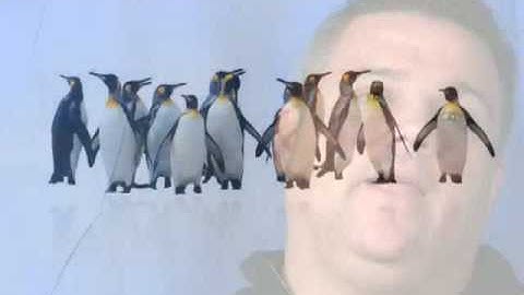 TED Speech Jim McCarthy