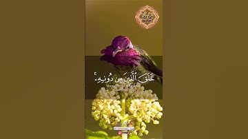 هذا خلق اللّٰه - #سورة لقمان #عبدالباسط_عبدالصمد #قرآن #quran #قران_كريم #quotes #viral