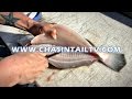 Fillet a Flounder in Under 15 seconds!! | Chasin' Tail TV