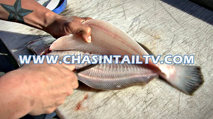 Fillet a Flounder in Under 15 seconds!! | Chasin' ...