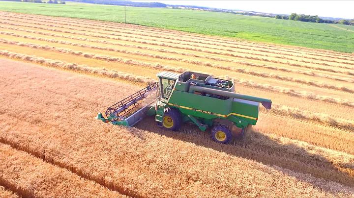 2020 Wheat Harvest Stevensburg, VA
