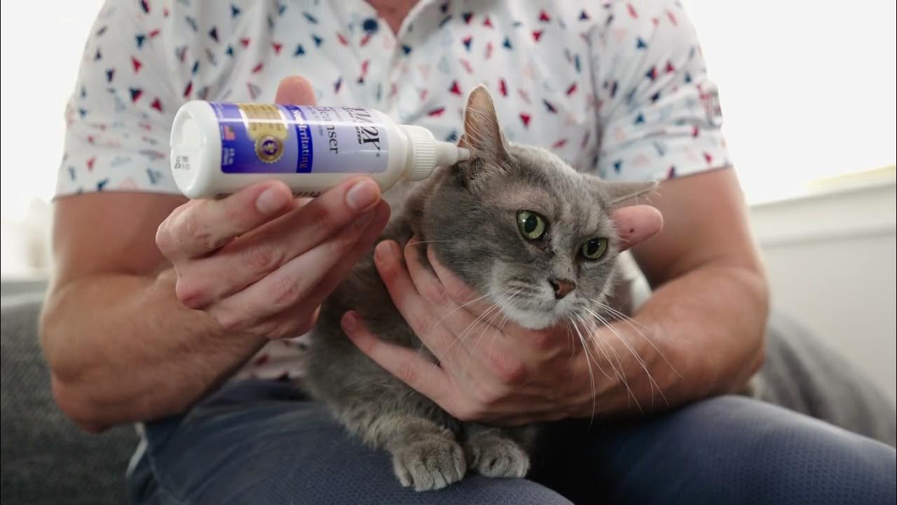 ZYMOX for Cats and Kittens YouTube