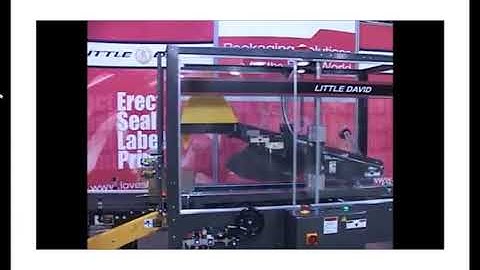 Little David LD-16AE Fully Automatic Random Case Sealer | ProPac.com