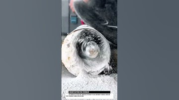 Concrete Cutting Tool Technology Innovation for Construction Work