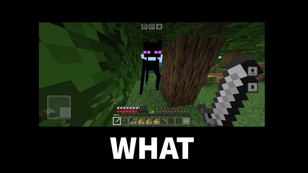 minecraft WAIT WHAT meme - YouTube