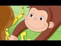 Curious George 🐵 George Counts for 100 🐵Compilation🐵 HD 🐵 Videos For Kids