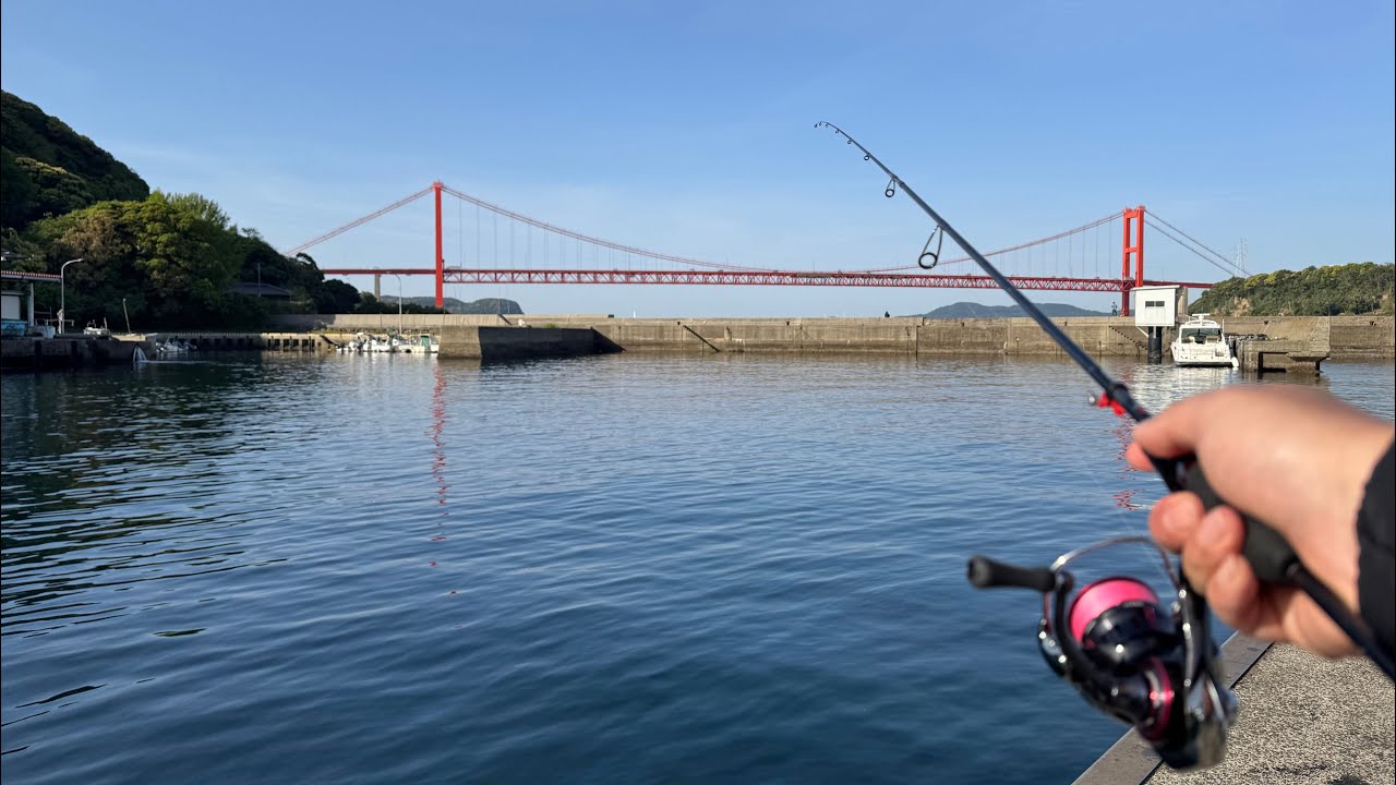 【長崎　平戸】釣り初心者の平戸遠征はハンターに狙われて終わりました！【4日目　最終日】