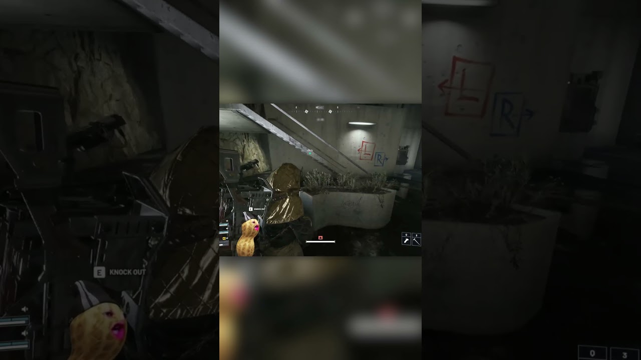 What Did You Bring For The Class Today 