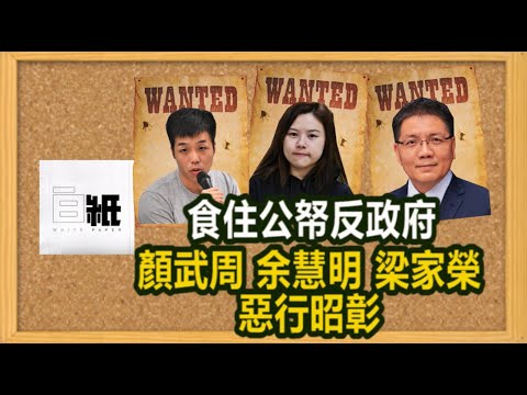 【白紙教室 第14課】食住公帑反政府 顏武周、余慧明、梁家榮惡行昭彰