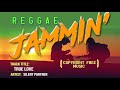 TRUE LOVE | FREE REGGAE MUSIC | NON-COPYRIGHT MUSIC ( Free to Use )