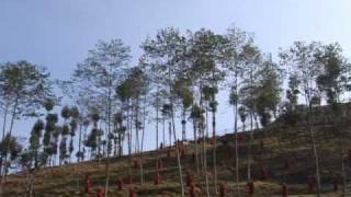 Download Lagu \ MP3 Download Lagu \ MP3