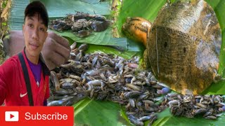 Catch fish in small river  by forest