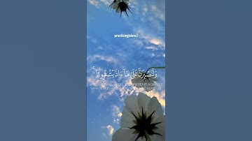 وما لنا ألا نتوكل على الله وقد هدانا سبلنا   عبدالله القرافي سورة إبراهيم