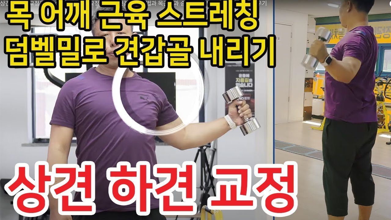 상견과 하견 교정운동2 상견:높은어깨 교정을 위한 견갑골 세팅법과 목근육과 승모근푸는법 및 덤벨밀 배우기 - YouTube