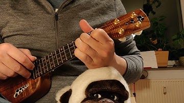 Erindring // Out in the North (written by Tobias Elof) // TyDe Pocket Ukulele Fingerstyle