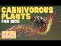 Carnivorous Plants and Their Adaptations