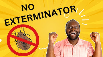 How I got RID of BED BUGS without an EXTERMINATOR