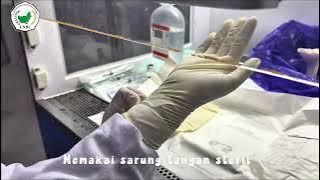 Proses Aseptic Dispensing Obat