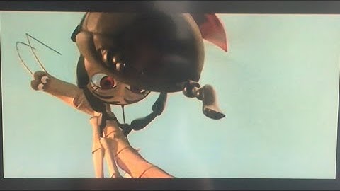 1001 Pattes Ne Partez Pas