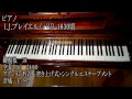 1830年頃　ピアノ I.J.プレイエル　概要