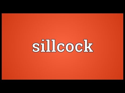 Header of sillcock