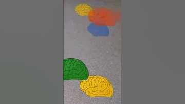 The Science of Procrastination: How to Stop It (Backed by Research) #brainhacks #procrastination