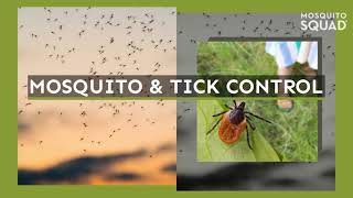 Pest Control Company Andover MA | Mosquito Control Andover Mass | Tick Control Andover MA