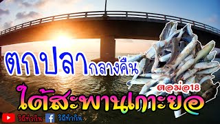 Fishing EP.17 #นอนใต้สะพานเกาะยอ #ตกปลากลางคืน //ปลากัดดี แถมบรรยากาศมันได้