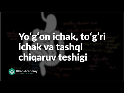 Video: To'g'ri Ichak Va Anusning Itlardagi Chiqishi