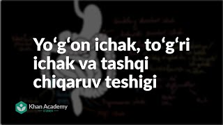 Yoʻgʻon ichak, toʻgʻri ichak va tashqi chiqaruv teshigi | Ovqat hazm qilish tizimi | Tibbiyot