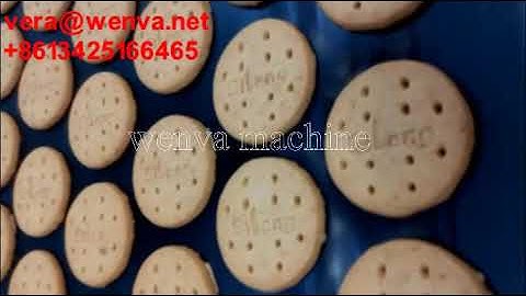 2019 Completely Automatic Soft Biscuit Production Line (Wenva Machine)