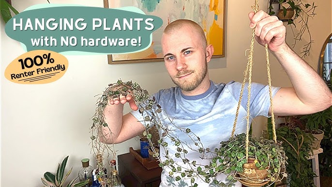 How to Install Swag Hooks to Hang Plants from the Ceiling (without a Stud  Finder) 