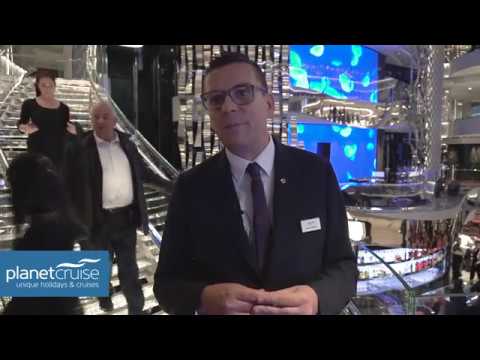 steve williams msc cruises