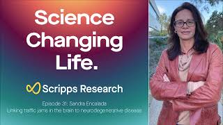 Episode 31 – Sandra Encalada: Linking traffic jams in the brain to neurodegenerative disease