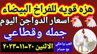اسعار الفراخ البيضاء اليوم اسعار الدواجن اليوم الاثنين 20-11-2023 جمله وقطاعي في مصر