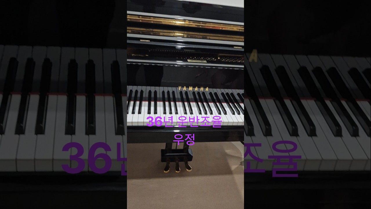 Yamaha Grand Piano Moving and Tuning from Dongtan, Hwaseong to Baebang New Town, Tangjeong, Asan ...