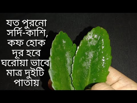 ভিডিও: আপনি গ্রাফাইট শ্বাস নিলে কি হবে?