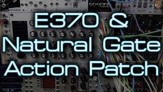 Synthesis Technology E370 Rabid Elephant Natural Gate - Action Patch