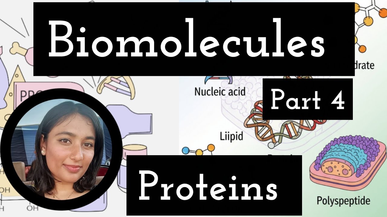 Proteins || Classification, complete details || Biomolecules Part 4